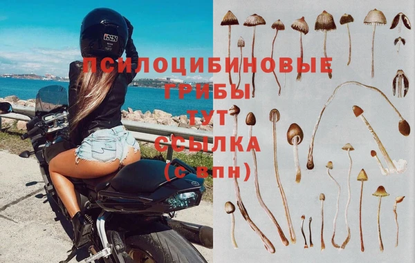 мяу мяу мука Шали