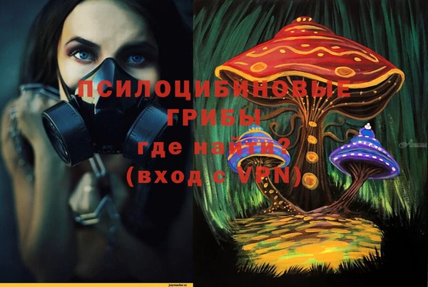 мяу мяу мука Шарыпово
