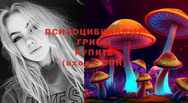 мяу мяу мука Шарыпово
