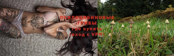 мяу мяу мука Шали