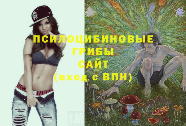 мяу мяу мука Шали