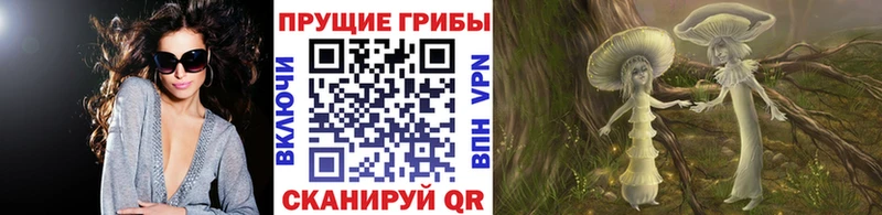 что такое   Нижний Тагил  Псилоцибиновые грибы Magic Shrooms 
