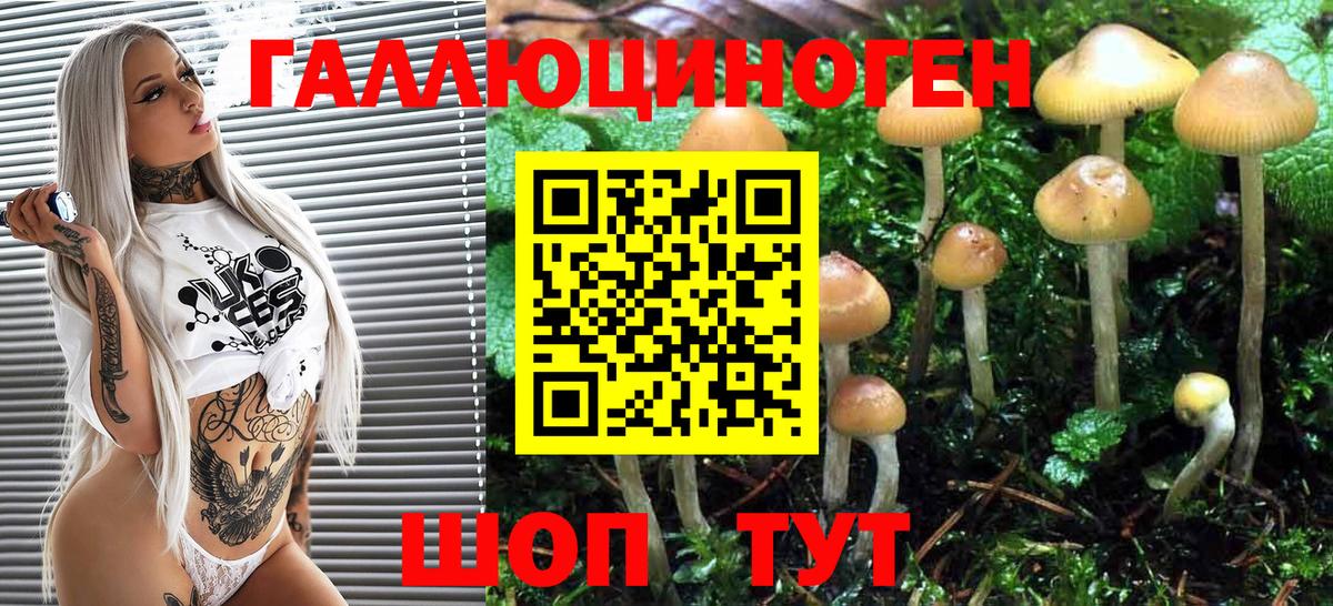 Нижний Тагил  Псилоцибиновые грибы Magic Shrooms  Галлюциногенные грибы GOLDEN TEACHER  Вход с VPN 