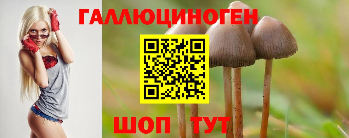 Галлюциногенные грибы Cubensis Нижний Тагил