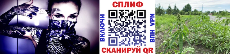 Канабис ГИДРОПОН Нижний Тагил
